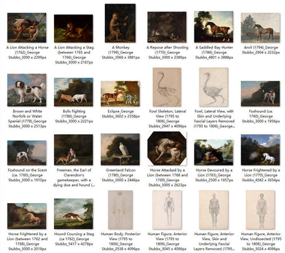 62 Painting Images by George Stubbs (English, 1724-1806) - Gandhanra-ART