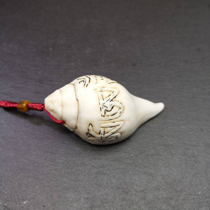 White Conch Shankha 3.31"×1.69" Gandhanra-ART