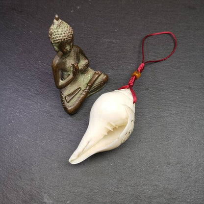 White Conch Shankha 3.31"×1.69" Gandhanra-ART