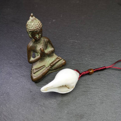 White Conch Shankha 2.36"×1.18" Gandhanra-ART