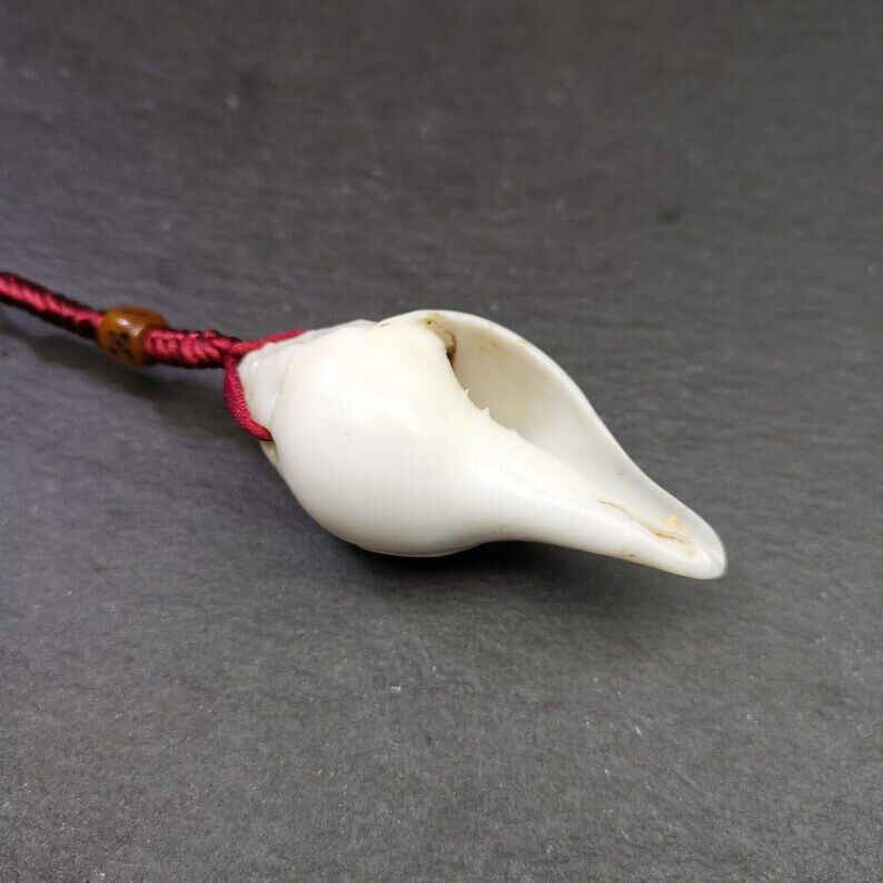 White Conch Shankha 2.36"×1.18" Gandhanra-ART