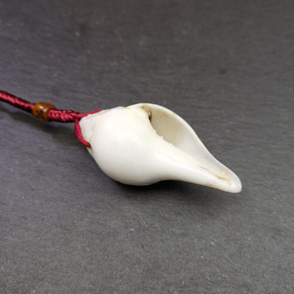 White Conch Shankha 2.36"×1.18" Gandhanra-ART